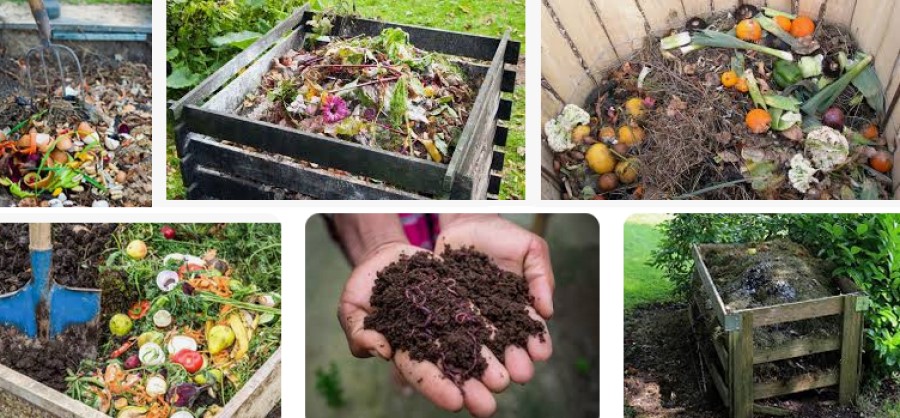 compost e biochar agricolo